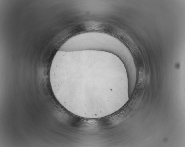 X0000116460409201001201304