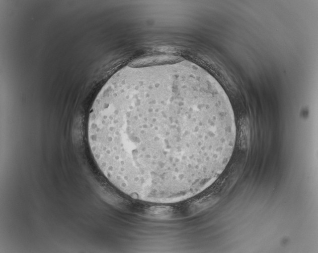 X0000116460410201001201304