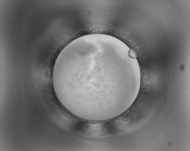 X0000116460411201001201304