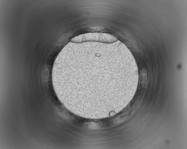 X0000116460412201001201304