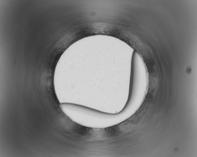 X0000116460413201001201304