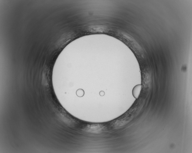 X0000116460414201001201304
