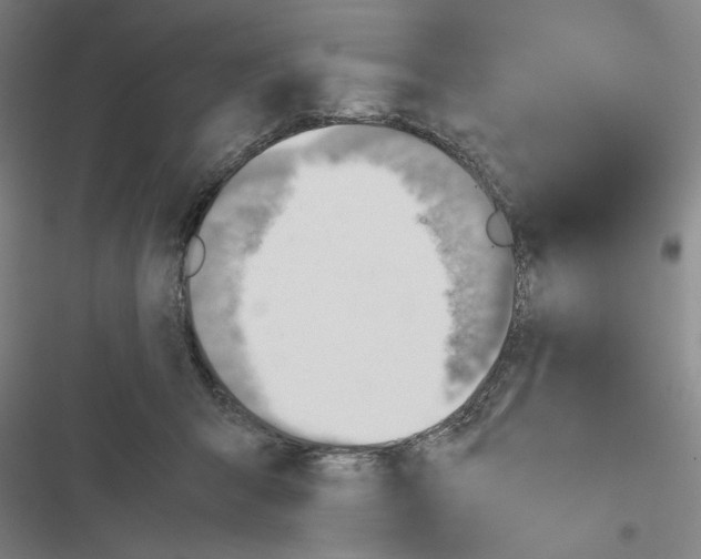 X0000116460415201001201304