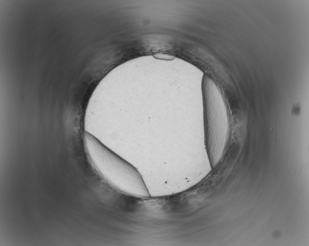 X0000116460417201001201304