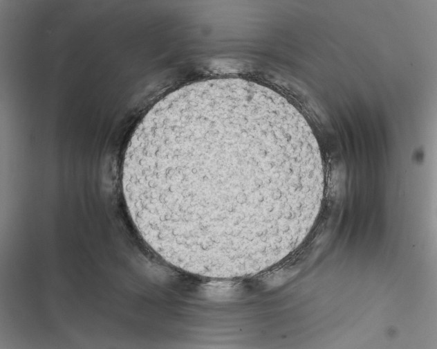 X0000116460418201001201304