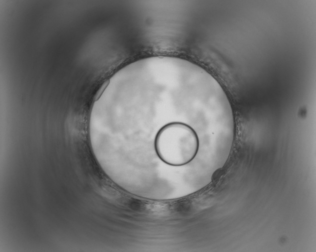 X0000116460419201001201304