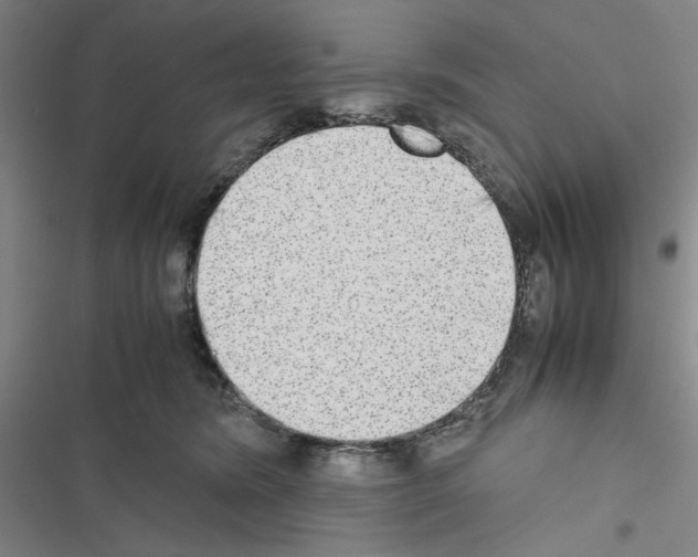 X0000116460420201001201304