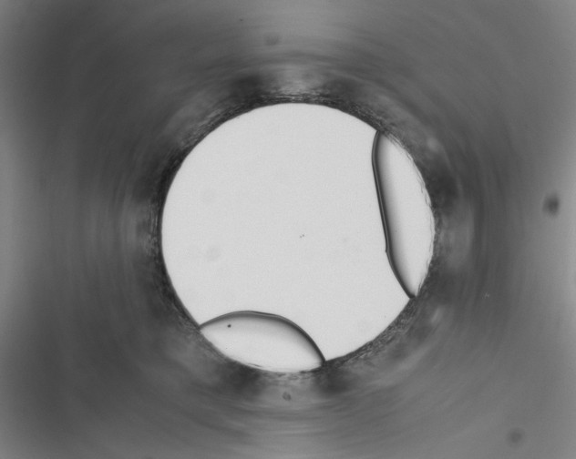 X0000116460421201001201304