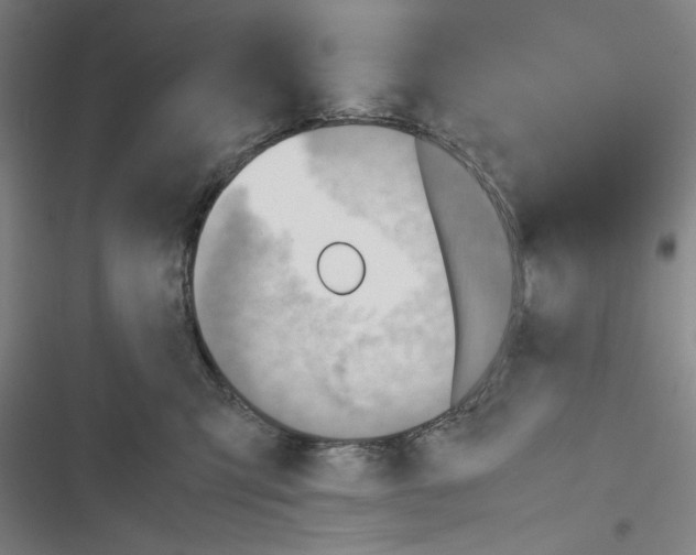 X0000116460423201001201304