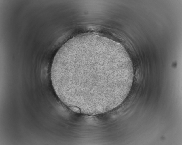 X0000116460424201001201304