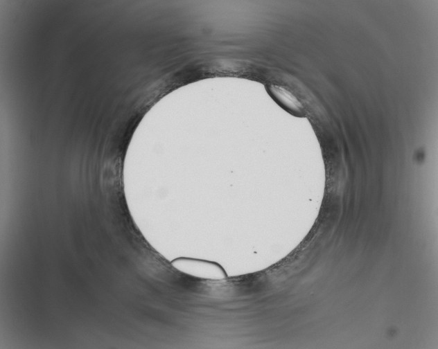 X0000116460425201001201304