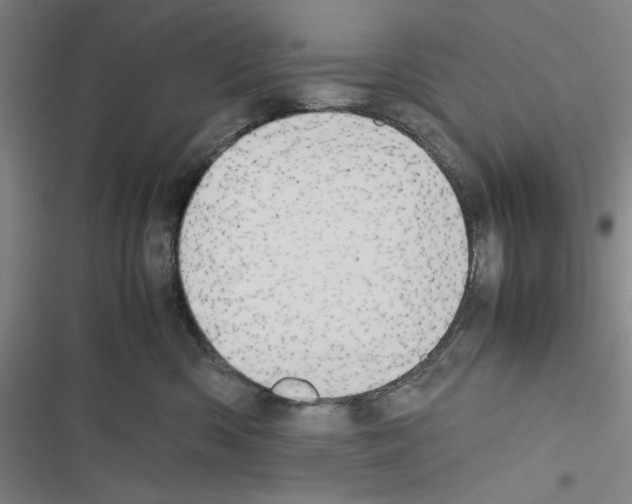 X0000116460426201001201304