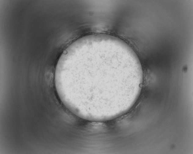 X0000116460427201001201304