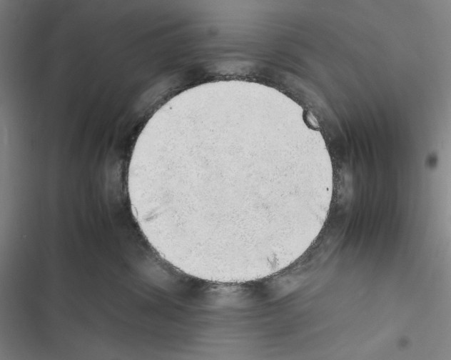X0000116460428201001201304