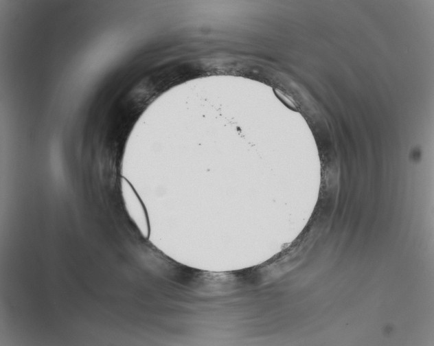 X0000116460429201001201304