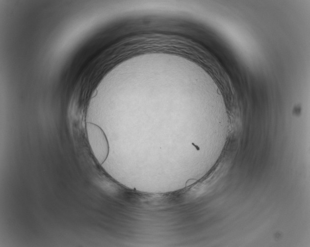 X0000116460431201001201304