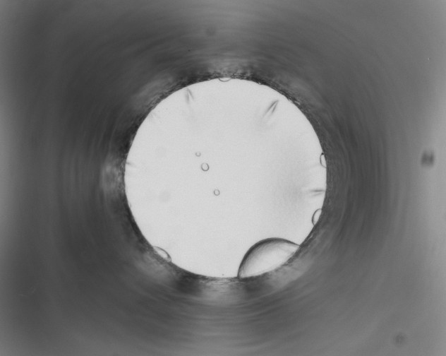 X0000116460432201001201304