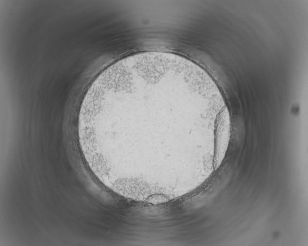 X0000116460433201001201303