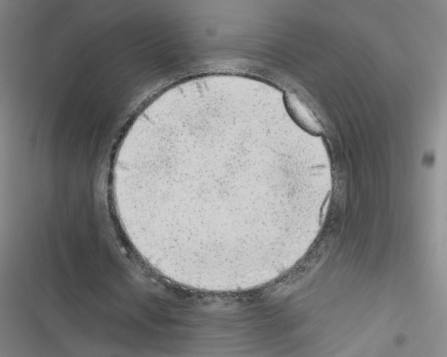 X0000116460434201001201303