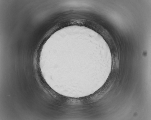 X0000116460435201001201303