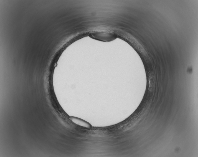 X0000116460436201001201303