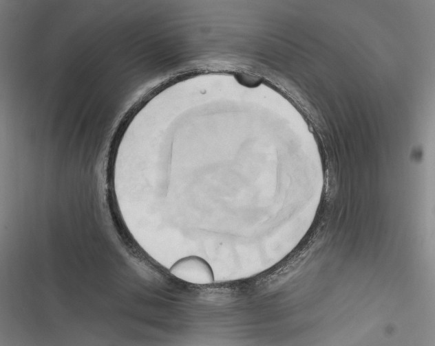 X0000116460438201001201303