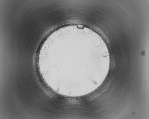 X0000116460439201001201303