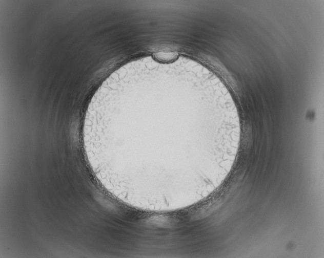 X0000116460441201001201303