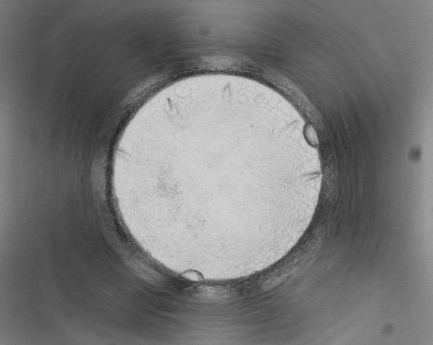 X0000116460442201001201303