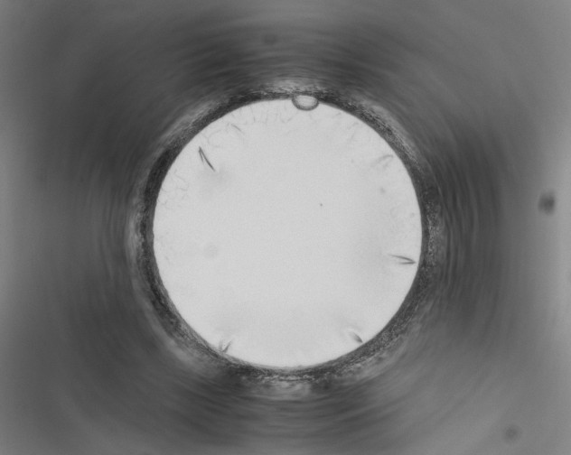 X0000116460443201001201303