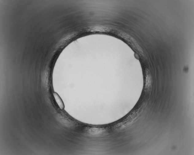 X0000116460444201001201303