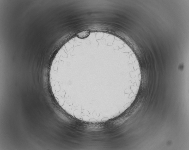 X0000116460445201001201303