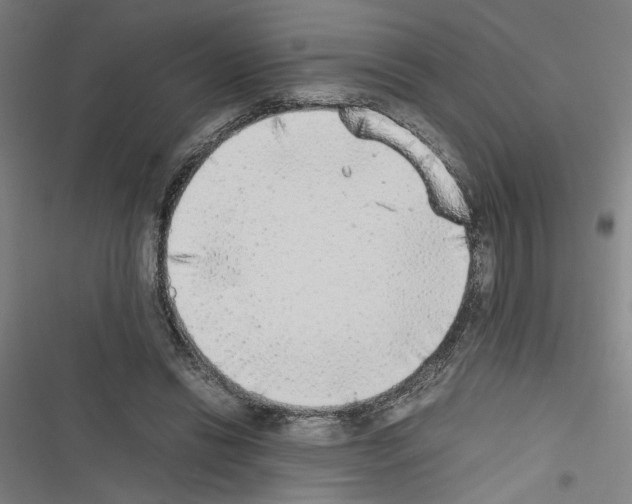 X0000116460446201001201303