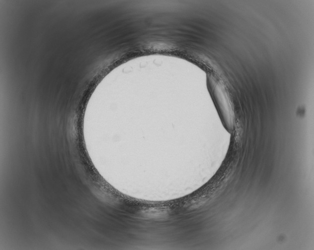 X0000116460447201001201303