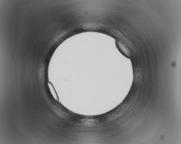 X0000116460448201001201303