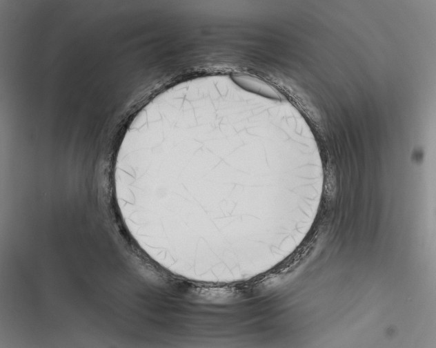 X0000116460449201001201303