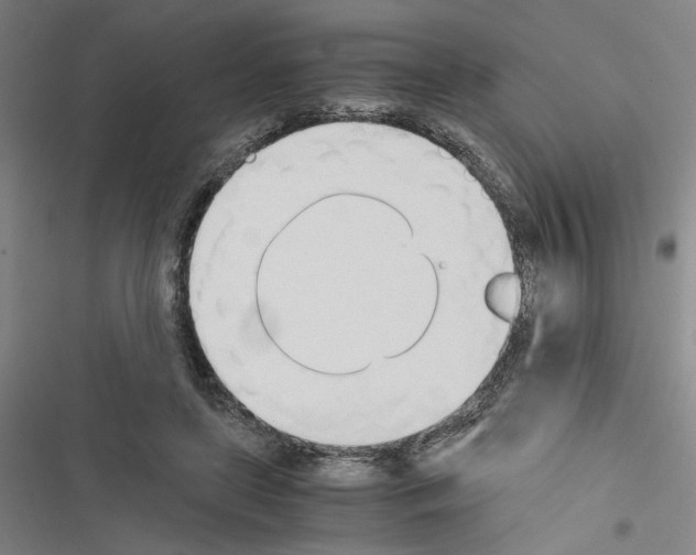 X0000116460451201001201304