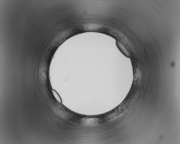 X0000116460452201001201304