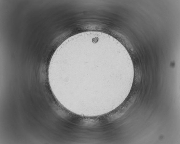 X0000116460453201001201304