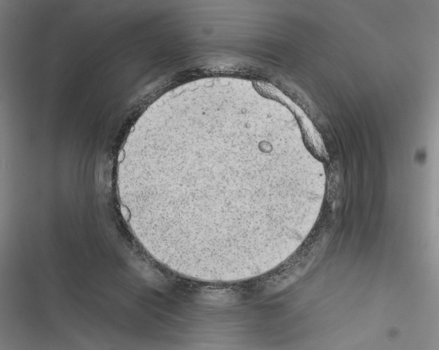 X0000116460454201001201304