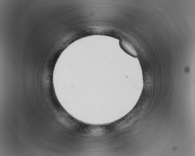 X0000116460456201001201304