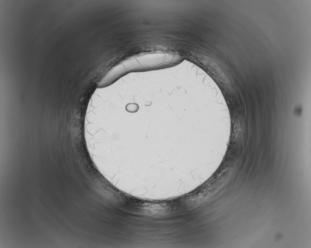 X0000116460457201001201304