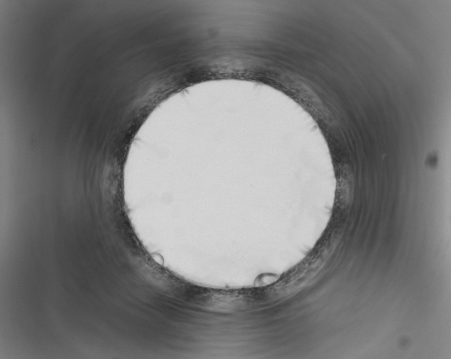 X0000116460458201001201304