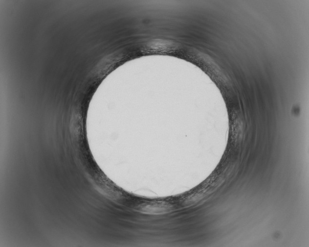 X0000116460459201001201304
