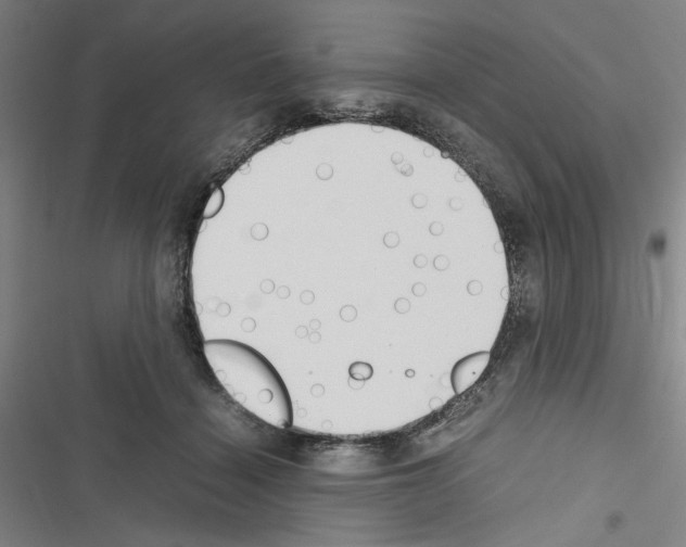 X0000116460460201001201304