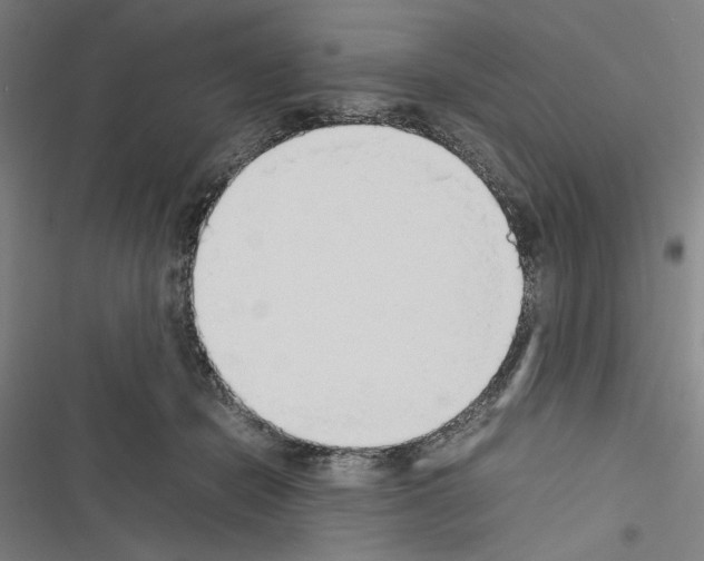 X0000116460462201001201304