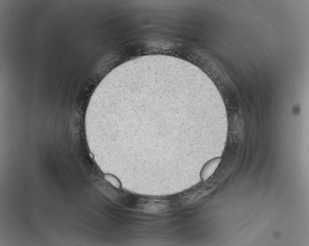 X0000116460463201001201304