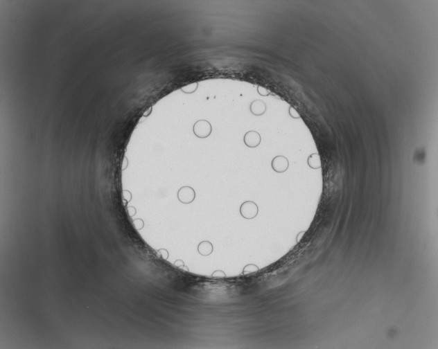 X0000116460464201001201304