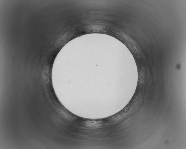 X0000116460465201001201304
