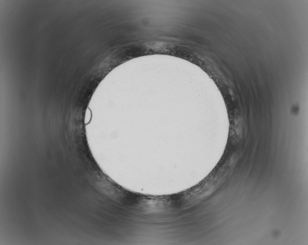 X0000116460466201001201304